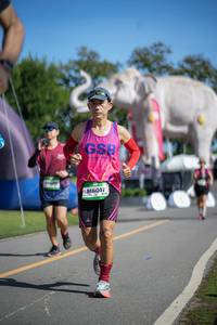 BIB: 
                            <button type="button" onclick="openModal(26543149)" class="btn btn-primary btn-sm float-right btn-popup" data-toggle="modal" data-target=".modal-high-quality">
                        <i class="fas fa-shopping-cart"></i> Add to Cart
                    </button>
                                            <button type="button" onclick="isThisMe(26543149, true)" class="btn btn-success btn-sm float-right btn-popup btn-isme hidden" data-toggle="tooltip" data-placement="bottom" title="นี่คือรูปของคุณใช่ไหม คลิกที่นี่เพื่อเอาเข้าอัลบั้ม">
                        <i class="fas fa-plus"></i> Add to album
                    </button>
                    <button type="button" onclick="isThisMe(26543149, false)" class="btn btn-warning btn-sm float-right btn-popup btn-isnotme hidden">
                        <i class="fas fa-ban"></i> Remove from album
                    </button>